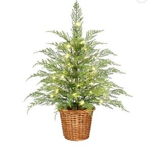 New! My Texas House 24"Pre-Lit Green Cypress Artificial Christmas Tree, In Hand